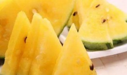 黑料吃瓜中心今日吃瓜免费,今日免费吃瓜，揭秘娱乐圈幕后真相！