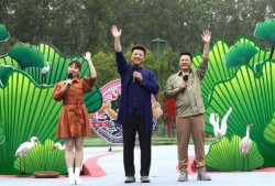 长沙太阳爆料事件视频最新,视频揭露惊人真相，网友热议不断