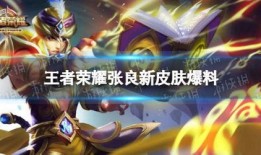 最新爆料王者新皮肤视频,王者新皮肤惊艳亮相，特效与颜值并存！