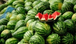 十三姨网红吃瓜,揭秘娱乐圈幕后真相