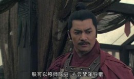 刘邦电视剧在线观看,从布衣到帝王的逆袭之路