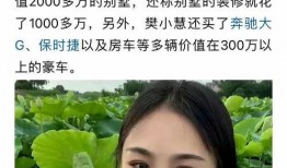 樊小慧 爆料视频,揭秘背后惊人真相