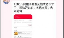 西安网红b站爆料视频大全,揭秘城市魅力与生活点滴
