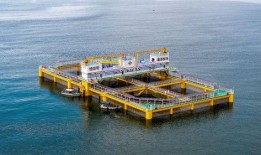 广东湛江新闻爆料平台,聚焦民生热点，传递社会声音