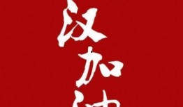 华为央视爆料新闻,揭秘科技巨头背后的故事