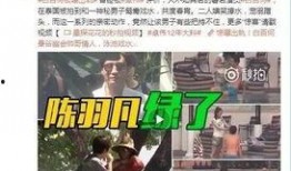 黄子健爆料视频大全最新,揭秘娱乐圈不为人知的一面
