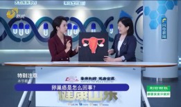 天津电台爆料新闻直播视频,揭秘重大新闻事件内幕