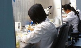 医生爆料亲子鉴定视频,视频曝光惊人真相