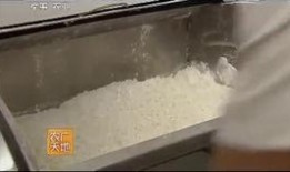 兰州牛肉爆料视频播放全集,揭秘视频播放全集背后的美味传奇