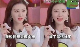 台湾女爆料大王视频大全,揭秘娱乐圈幕后真相