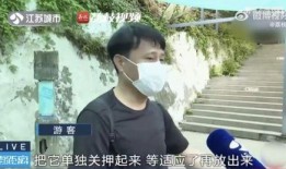 网红吃瓜翻车,一场网络狂欢的意外落幕