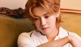 大瓜爆料鹿晗视频下载安装