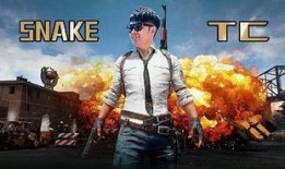 吃鸡旭东最新爆料,揭秘吃鸡界最新动态与内幕