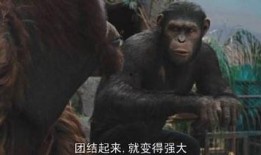 猩球崛起在线免费观看,重燃自由之火——在线免费观影指南