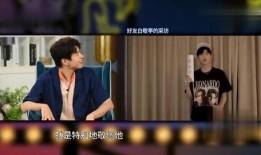 杨阳被爆料节目视频播放,揭秘幕后的真实瞬间