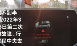 玛莎返厂爆料视频,独家爆料视频深度解析