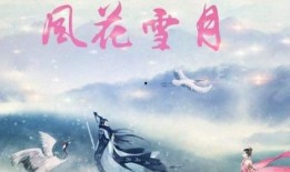 在线观看 月,在线观看月相变化之旅