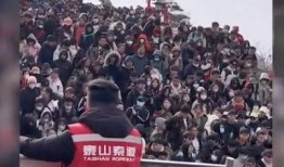 泰山领队爆料新闻视频