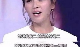 刘涛娱乐爆料事件,真相与争议交织
