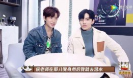 海归兄弟爆料视频大全最新,揭秘海外生活真相与挑战