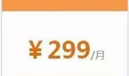 黑天鹅最新技能爆料,颠覆传统，引领未来