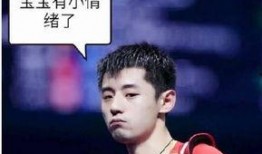 圈内爆料杨紫张继科,甜蜜互动引网友热议