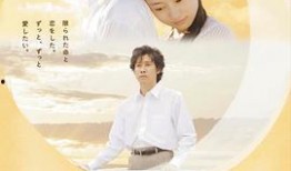 在线观看 月,在线观看月相变化之旅