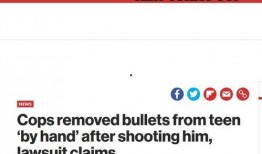 美国警察文件爆料视频,震撼视频揭露惊人真相