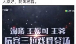 杨蓉演员爆料视频播放,揭秘娱乐圈幕后真相