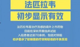 开封李先生最新爆料消息