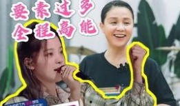 小精灵直播爆料视频大全,揭秘热门视频背后的精彩故事