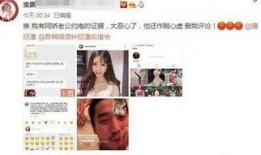 网红出轨爆料视频大全,视频大全背后的真相与反思