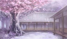 樱花爆料大神视频大全,揭秘热门话题背后的真相