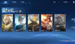 小黑皮肤爆料视频下载,揭秘神秘皮肤背后的故事