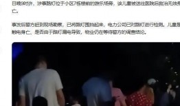 辽宁男孩爆料事件视频,揭秘事件背后真相