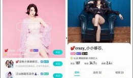 九情新闻爆料主播收入