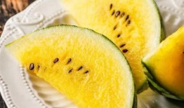 吃瓜爆红免费阅读