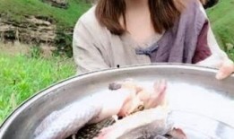 完全饲养在线观看,揭秘宠物背后的秘密生活