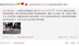 动物园员工爆料案例视频,揭秘动物真实生活与幕后真相