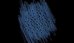 stormy在线观看,风暴y在线观看，揭秘惊心动魄的冒险之旅