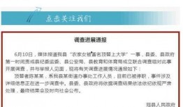 山东新闻热点爆料,聚焦民生关切，解码城市脉动