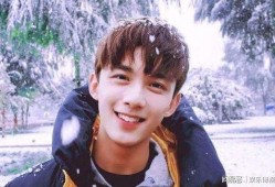 吴磊人品爆料事件视频,揭秘网络爆料背后的真相