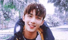 吴磊人品爆料事件视频,揭秘网络爆料背后的真相