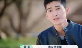 圈内爆料张翰孟子义,揭秘娱乐圈的甜蜜纠葛