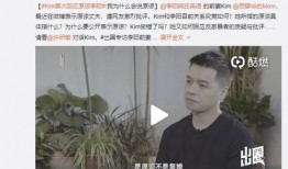 杨晓红家暴最新爆料视频,最新爆料视频揭露惊人内幕