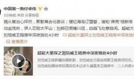 爆料剧情视频下载网站免费,免费资源一网打尽