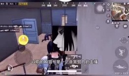 爆料无良卖货主播视频大全,视频大全揭露行业乱象