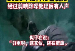 摄影师爆料小鹏事件视频,视频曝光惊人内幕