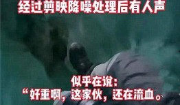 摄影师爆料小鹏事件视频,视频曝光惊人内幕