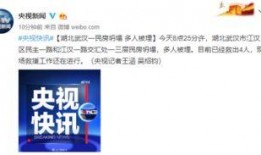 武汉爆料最新消息新闻,聚焦城市动态与民生焦点